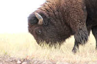 South Dakota - 2022